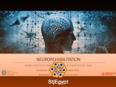 Introduction to Neuroscience – Neurorehabilitation
