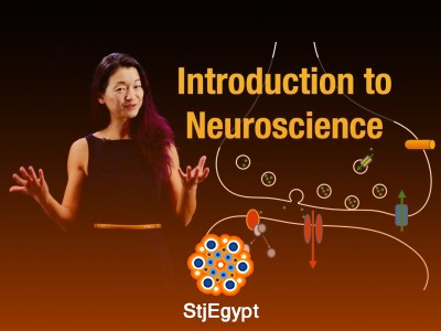 Intro to Neuroscience