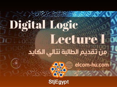 Digital Logic & Programming – Computer Systems and MSP430 Course