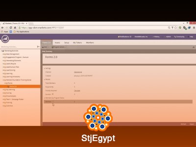 Marketo Basics & Campaign Setup – Complete Course