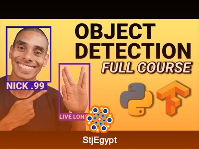 Full Stack Computer Vision with TensorFlow, Python & React (TensorFlow.js)