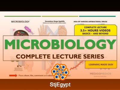 Microbiology & Infectious Diseases Course | Bacteria, Viruses & Immune Response