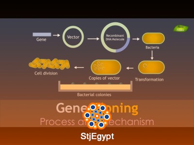 Cloning and Genetic Engineering Course | Modern Biotechnology and Genetic Modification