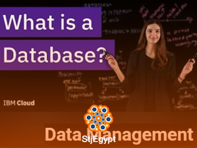 Databases & Data Architecture Full Course | Database, Data Warehouse, Lakehouse Explained (IBM)