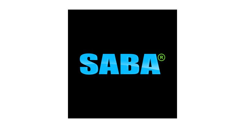 ERP Administrator at SABA