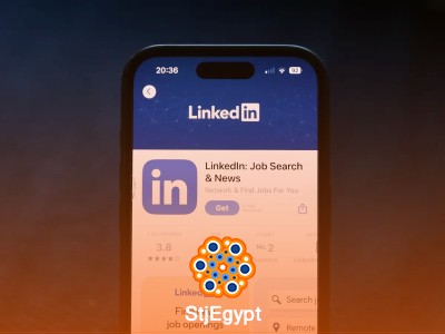 إحصائيات عامة عن لينكدإن لعام 2025