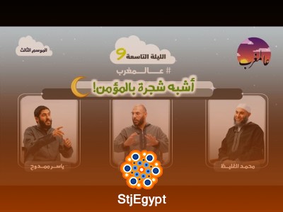 الحلقة التاسعة | أشبه شجرة بالمؤمن | عالمغرب (3)