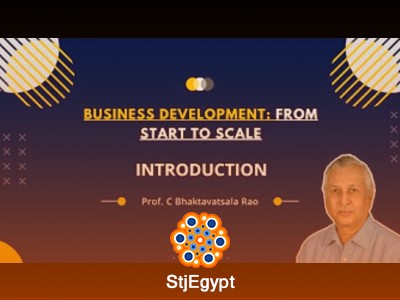 تطوير الأعمال: من البداية إلى التوسع