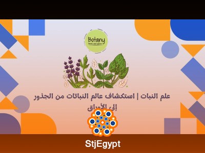 علم النبات | استكشاف عالم النباتات من الجذور إلى الأوراق