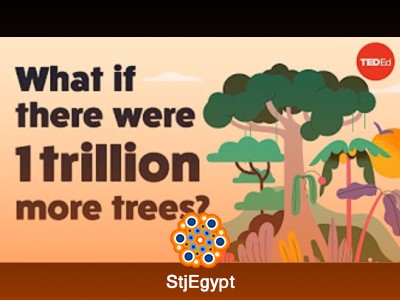 فهم التغير المناخي: التحديات والحلول الممكنة