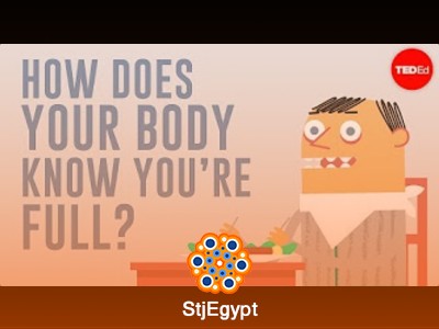 سلسلة محاضرات حول تأثير الطعام على الجسم والعقل