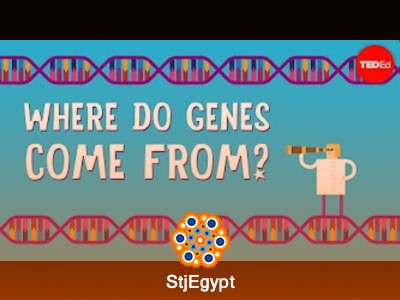 علم الوراثة: استكشاف الجينات والإبيجيناتيات والعديد من الظواهر البيولوجية