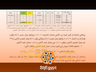 دورة دراسة الجدوى مع د همام