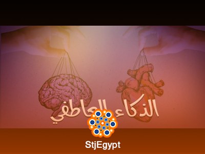 دورة الذكاء العاطفي المهني: كيف تحقق النجاح والاستقرار في عملك