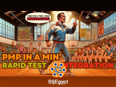 PMP Quick Quiz Course – Fast Practice for Exam Readiness