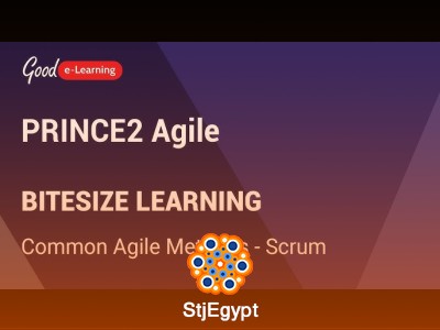 PRINCE2 Agile Foundation & Practitioner eLearning