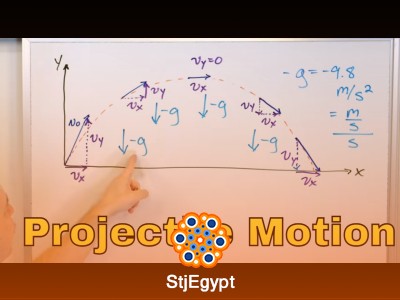 Projectile & Circular Motion in Physics: Vectors, Velocity & Acceleration