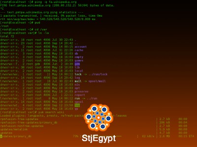 Command Line Crash Course for Beginners | Terminal Basics Training