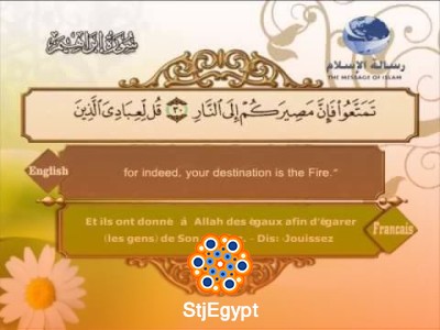 المصحف المرتل كامل بصوت الشيخ مصطفى اللاهوني | تلاوة خاشعة وأداء أصيل