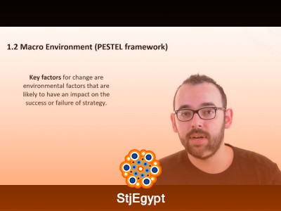Business Strategy Fundamentals: External Environment and Industry Analysis