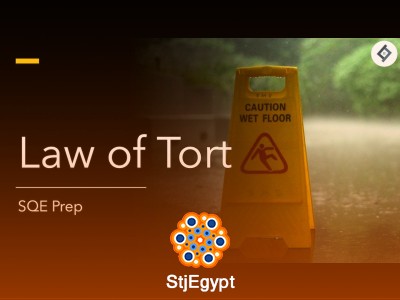 Tort Law SQE Prep – Complete Video Series