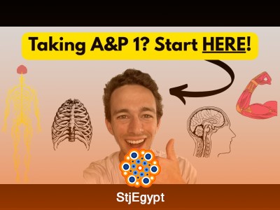 Anatomy & Physiology 1 Full Course | Complete A&P 1 Explained