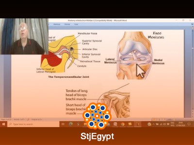 Anatomy & Physiology 1: Complete Course for Beginners