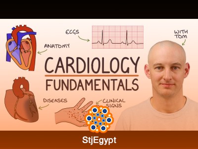 Learn Cardiology in One Video – Fundamentals