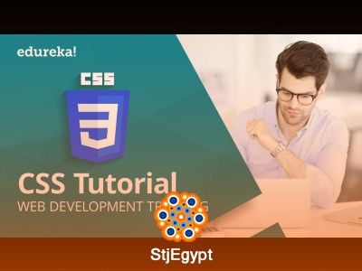HTML & CSS Full Course for Beginners – Learn Web Development Step by Step