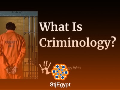 Criminology Intensive Course – Theories, Crime & Punishment