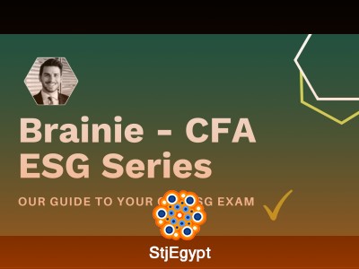 Introduction to ESG Investing – Corporate Finance Insights