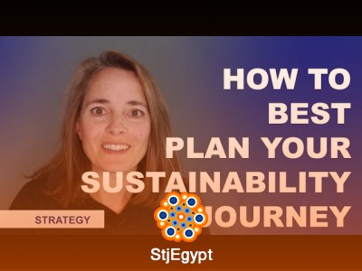 Mastering Sustainability Management: Strategy, Stakeholders & Impact