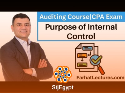 Internal Control & COSO Framework: Complete Auditing and Risk Management Course