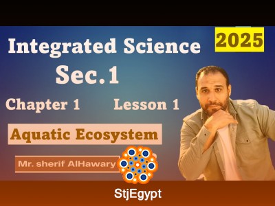 Introduction to Econometrics with Stata – Complete Beginner Course