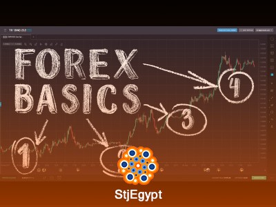 Forex Market Basics & Currency Pairs Full Beginner Course