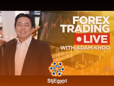 Professional Forex Trading Course by Adam Khoo (Full Beginner to Advanced)