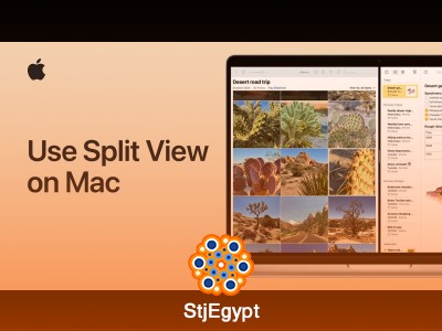 MacOS Essential Tips & Tricks – Finder, Split View, Screenshots & Productivity