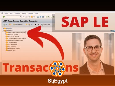 SAP Logistics Execution (SAP LE) – Warehouse & Goods Movement Training