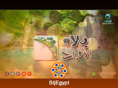 نعيم أهل الجنة وملامح الحياة في دار الأفراح