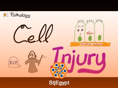 Pathology Introduction | Biopsy, Autopsy, Cell Injury, Inflammation & Cell Death