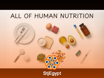 Nutrition Course | Crash Course in Diet, Metabolism & Healthy Eating