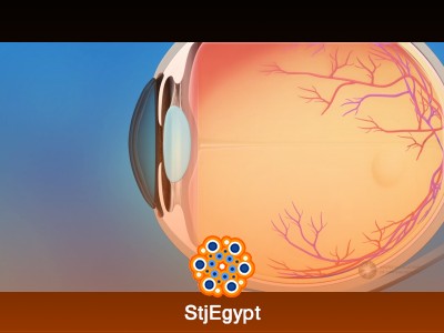 Ophthalmology & Neuro-Visual System Course | Retina, Optic Nerve & Visual Pathways