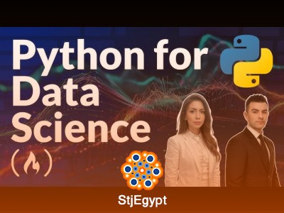 Python for Data Science Course – Hands-on Projects, A/B Testing & BI