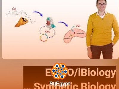 Synthetic Biology Course: Engineering Life, CRISPR & Metabolic Design