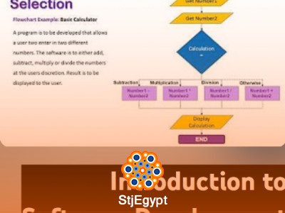 Software Design & Development (SDD): Problem Analysis, DFDs, Data Structures & Number Systems