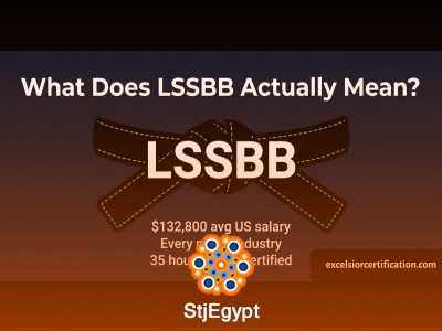 Lean Six Sigma Black Belt for Service Industries – Introduction Preview
