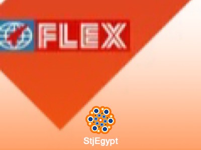 Finance Data Entry - FlexFilms Egypt