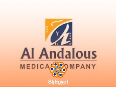 Internal Auditor -Al Andalous Medical Company