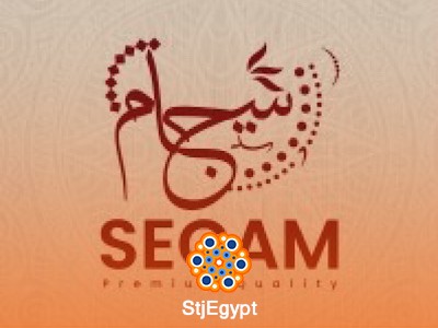 site Accountant -SEGAM GROUP