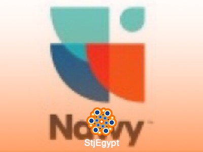 Site Engineer-Nawy